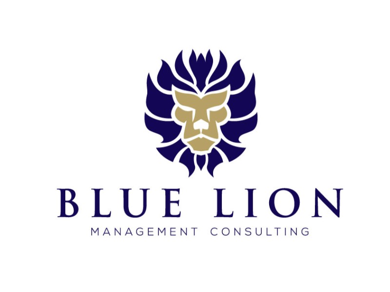 Blue Lion Management Consulting Blue Lion Management Consulting